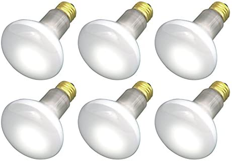 (Pack Of 6) 30R20/FL 120V - 30 Watt R20 Flood - E26 Base 30W - Light Bulbs
